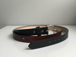 Distinción Cuéllar